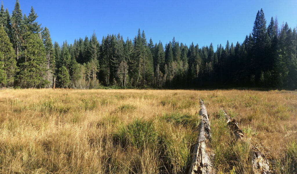 Eleven Mile Meadow near Yosemite West