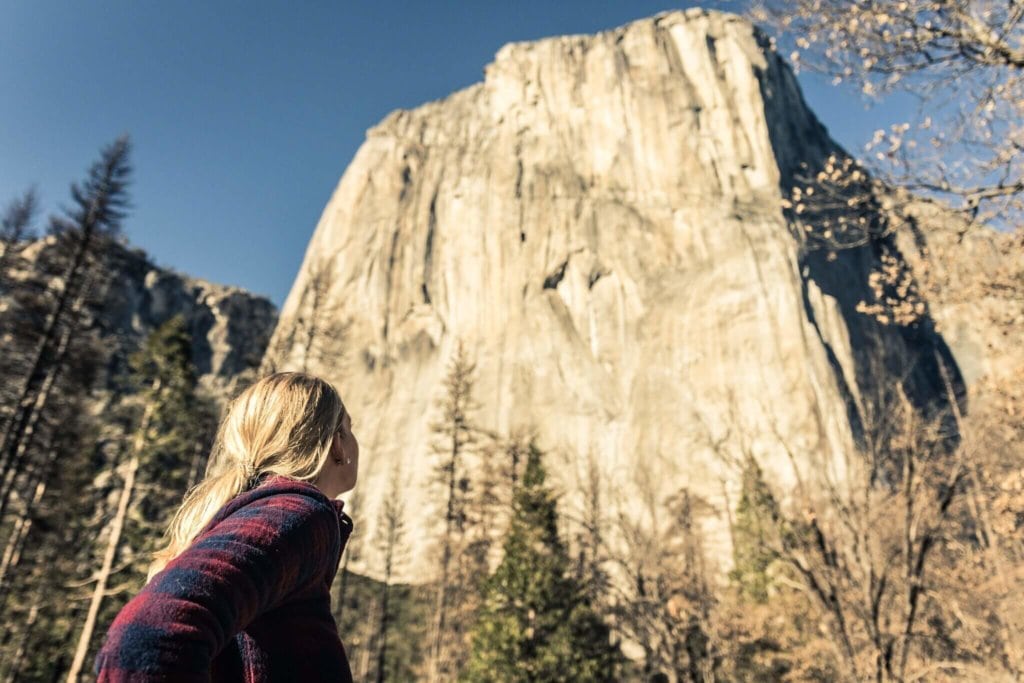 yosemite tours from san francisco