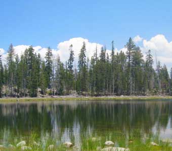 Harden Lake Yosemite