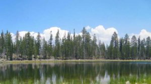 Harden Lake Yosemite