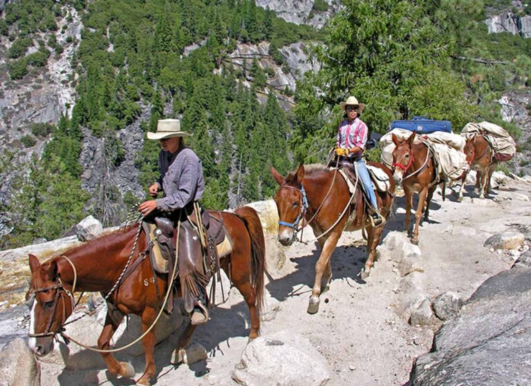 horseback riding in yosemite