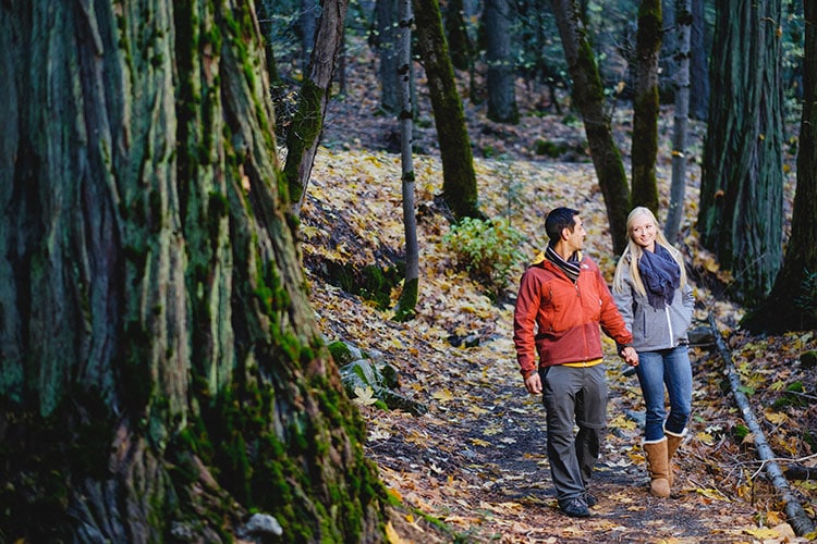 Couple walking through the forest in fall