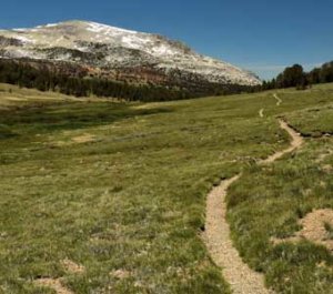 Mono Pass Trail Yosemite