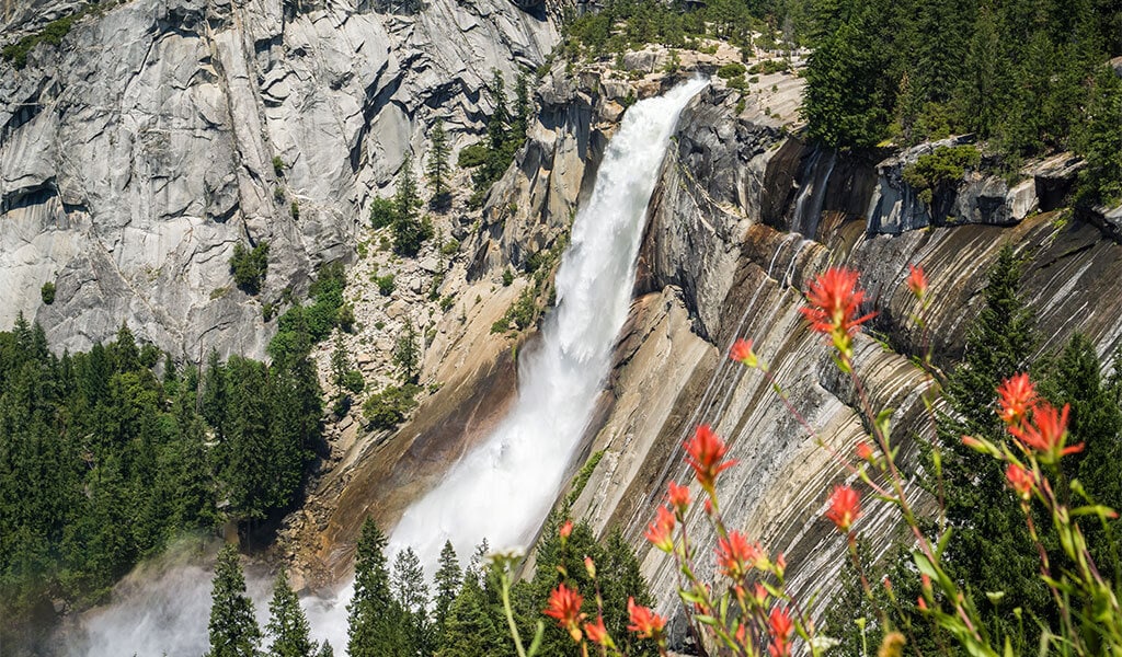 Nevada Fall and wildflowers