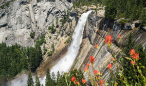 Wildflowers and Nevada Fall