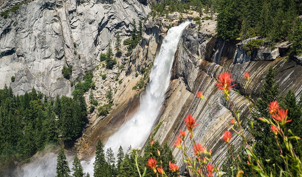 Nevada Fall Viewed From John Muir Trail With Spring Wildflowers