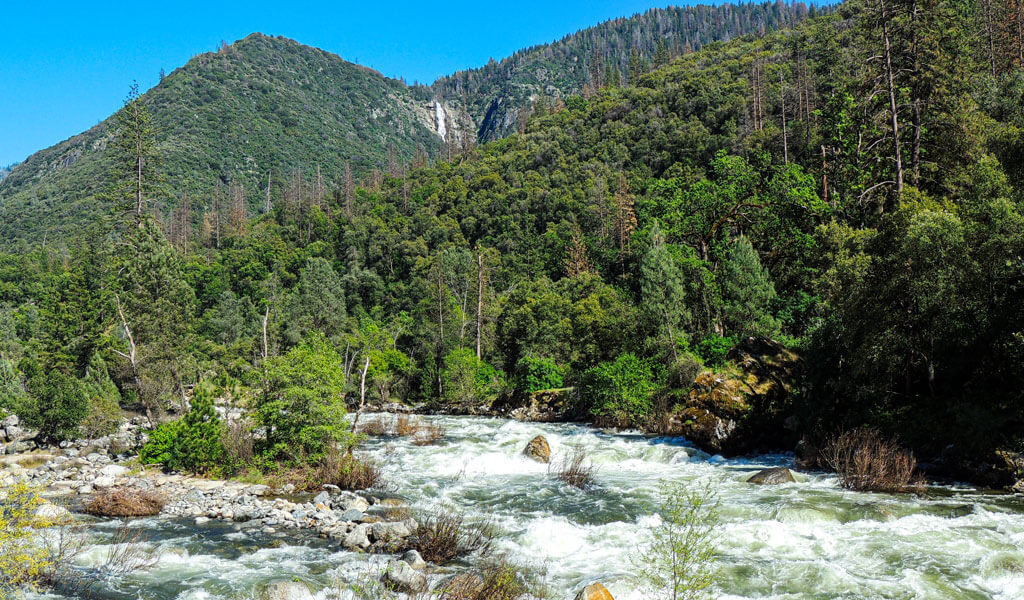 Exploring California’s Sierra National Forest