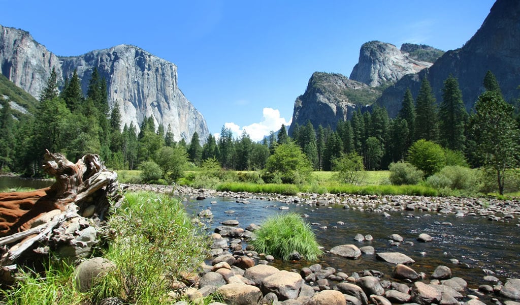 Stream-ing Live! Get Ready For Spring In Yosemite Mariposa