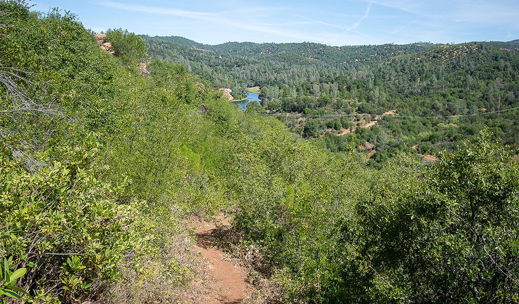 View from a trail in Stockton Creek Preserve
