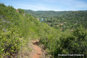 Stockton Creek Preserve hiking trail with view of reservoir