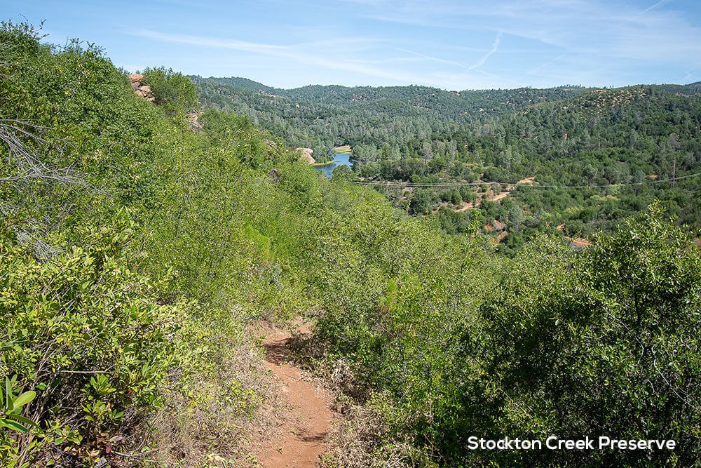 Stockton Creek Preserve hiking trail with view of reservoir