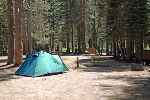 Tamarack Flat Campground (No RV’s)