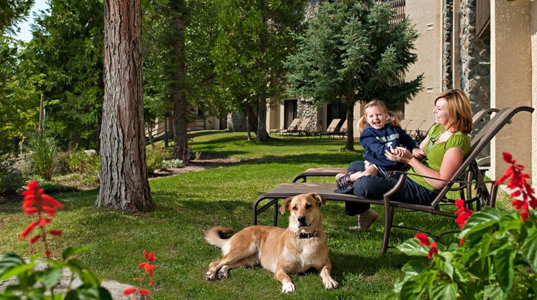 Tenaya Lodge Pet Friendly