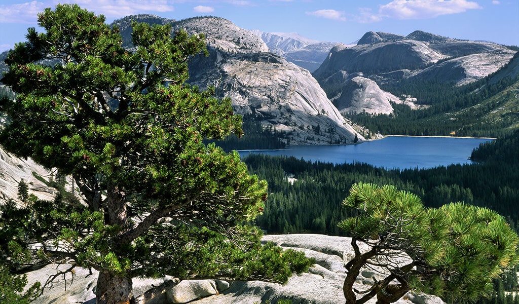 View of Tenaya Lake