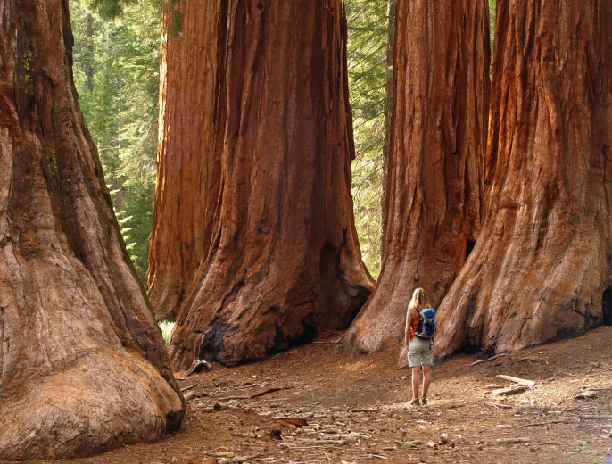 yosemite hiking