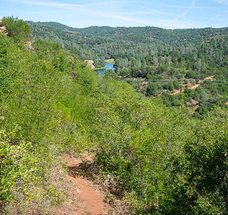 Trails at Stockton Creek Preserve above Mariposa, CA