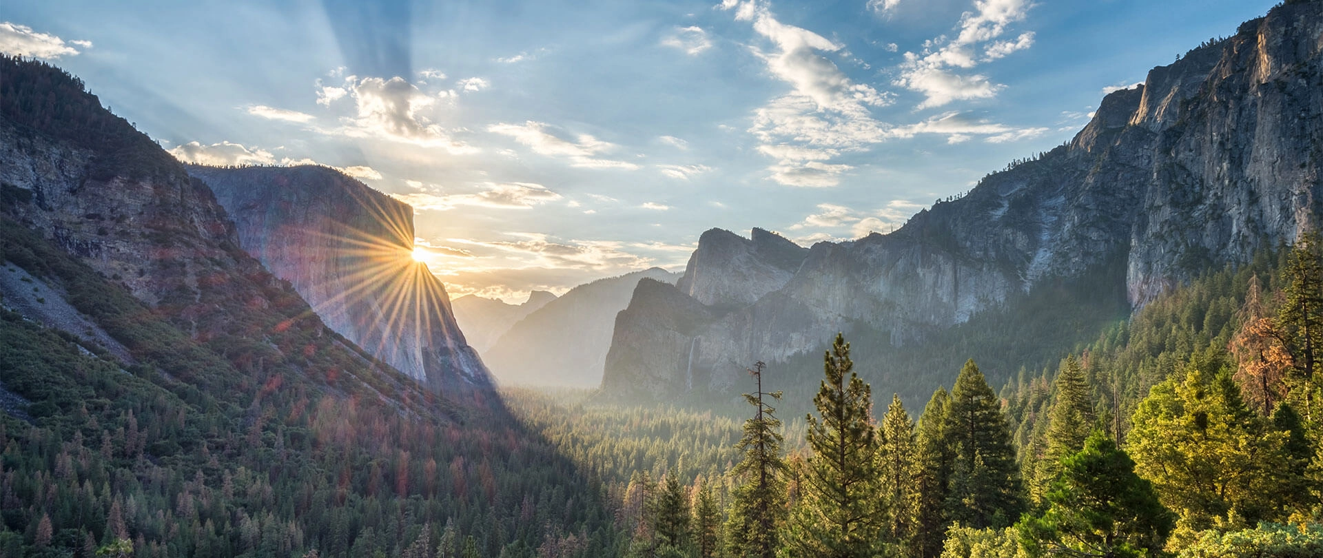 Yosemite Summer