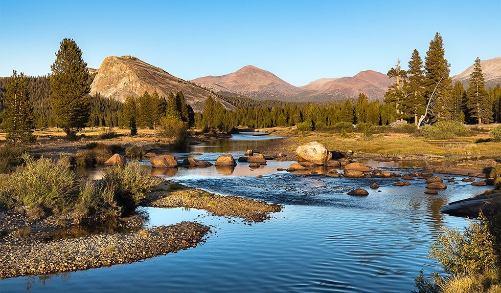 Meadows and domes in Tuolumne Meadows