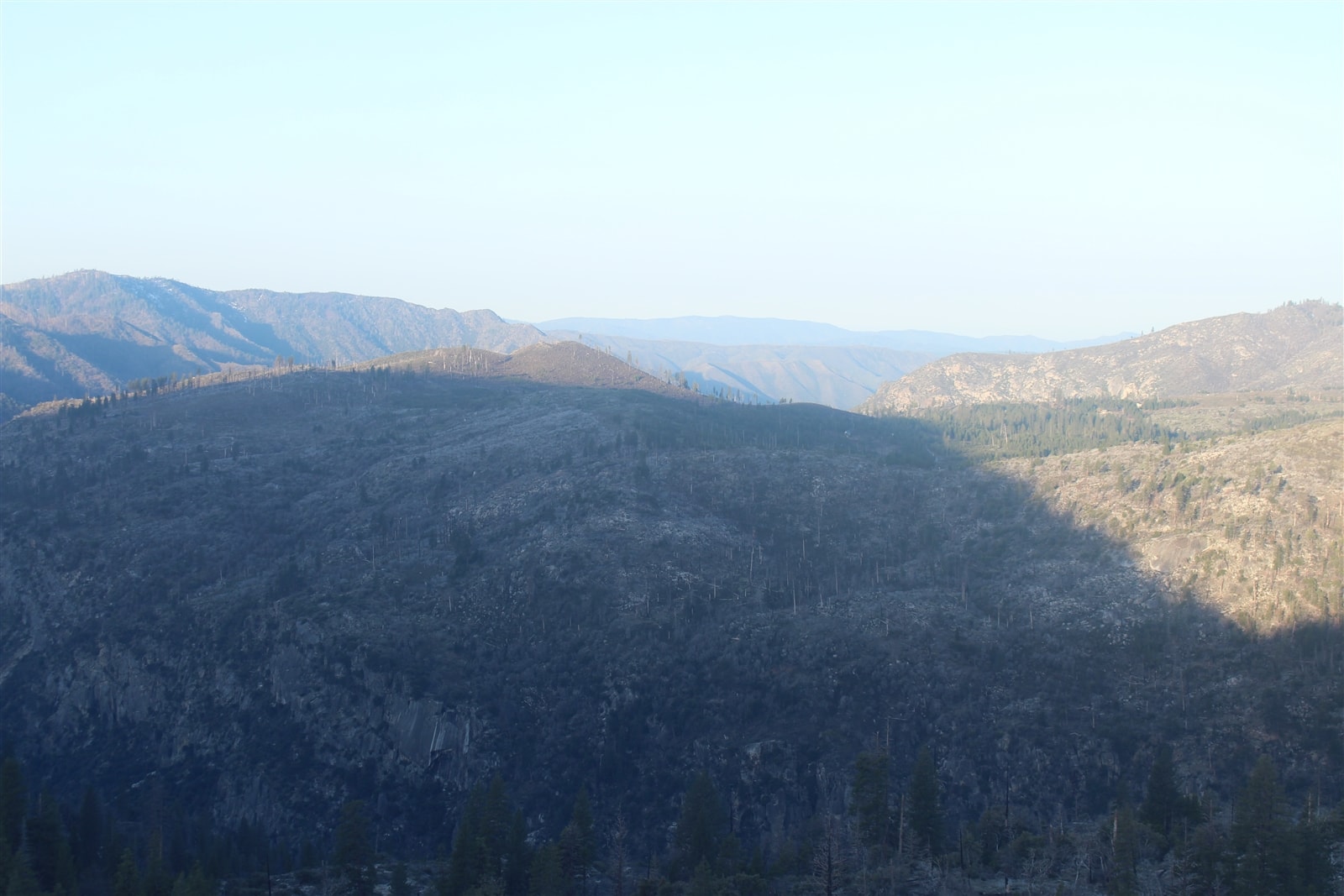 turtleback dome webcam