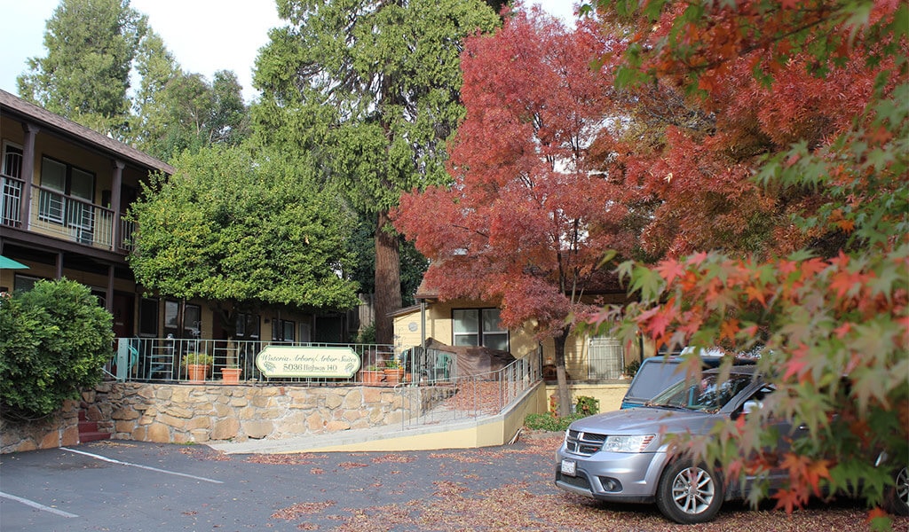 Fall color near Wisteria Arbors vacation rental