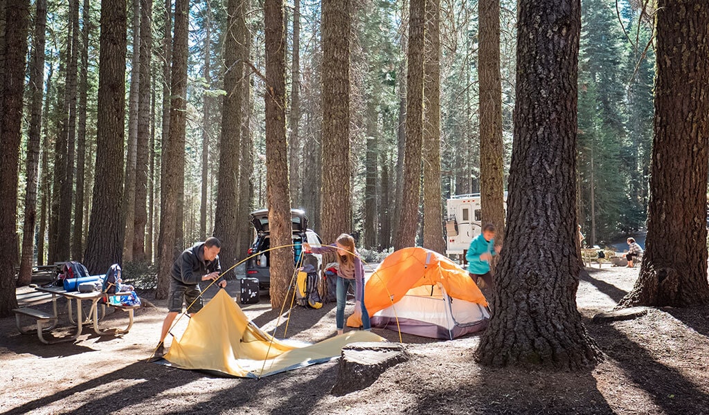 car camping in Yosemite