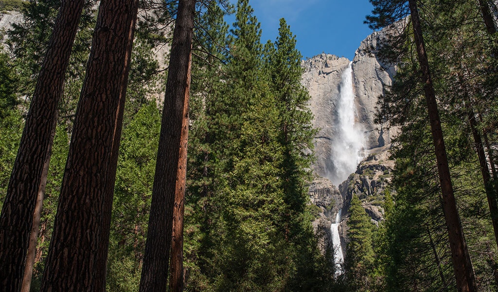 Viewing Yosemite Fall Through A Break In The Trees