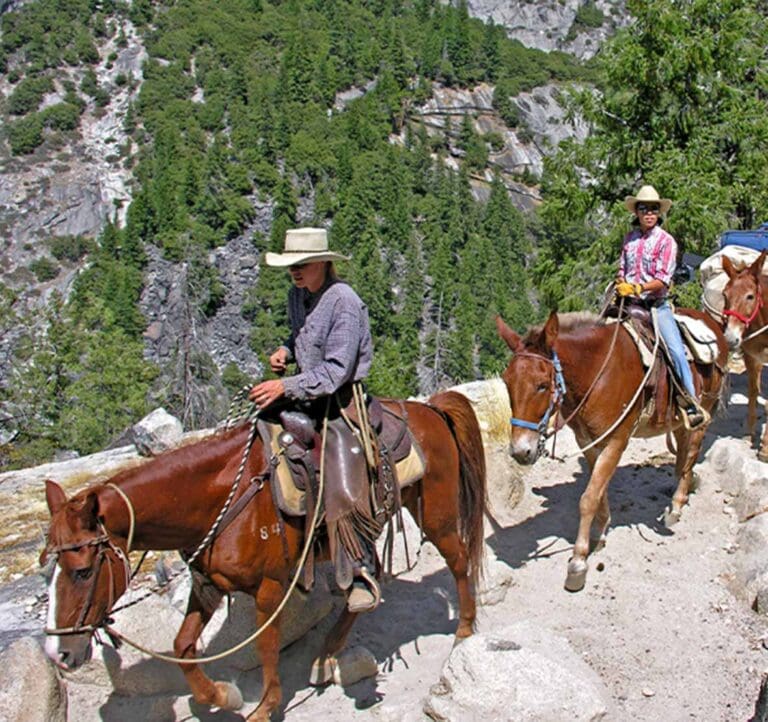 yosemite horseback tours