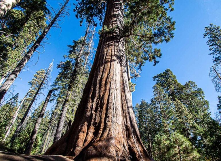 yosemite national park