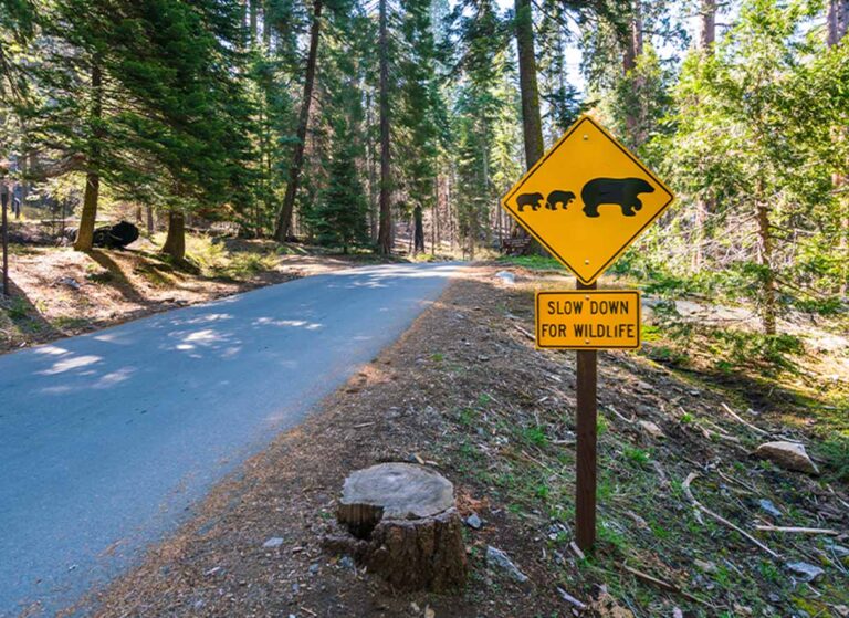 yosemite rules nature