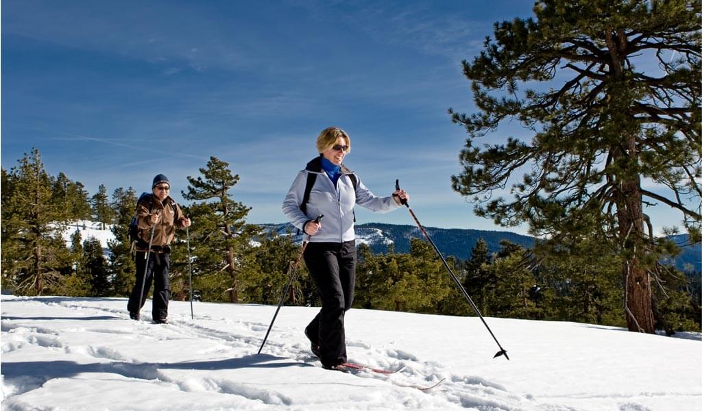 Cross Country Skiing