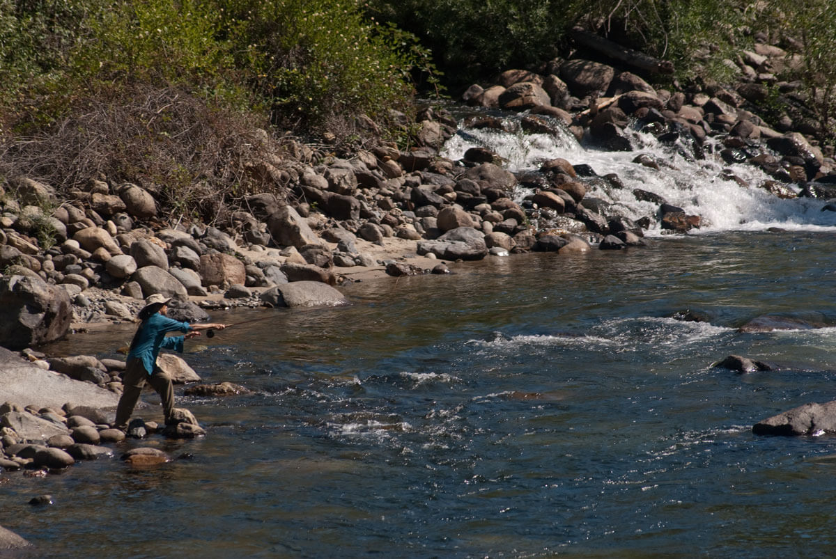 Stanislaus National Forest fishing