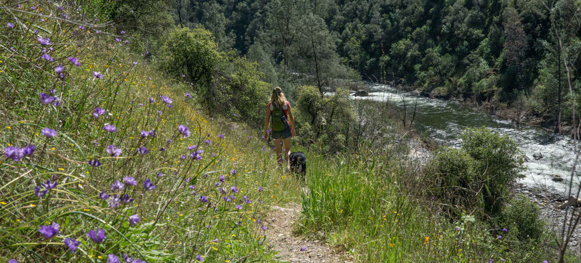 Hite's Cove in Sierra National Forest