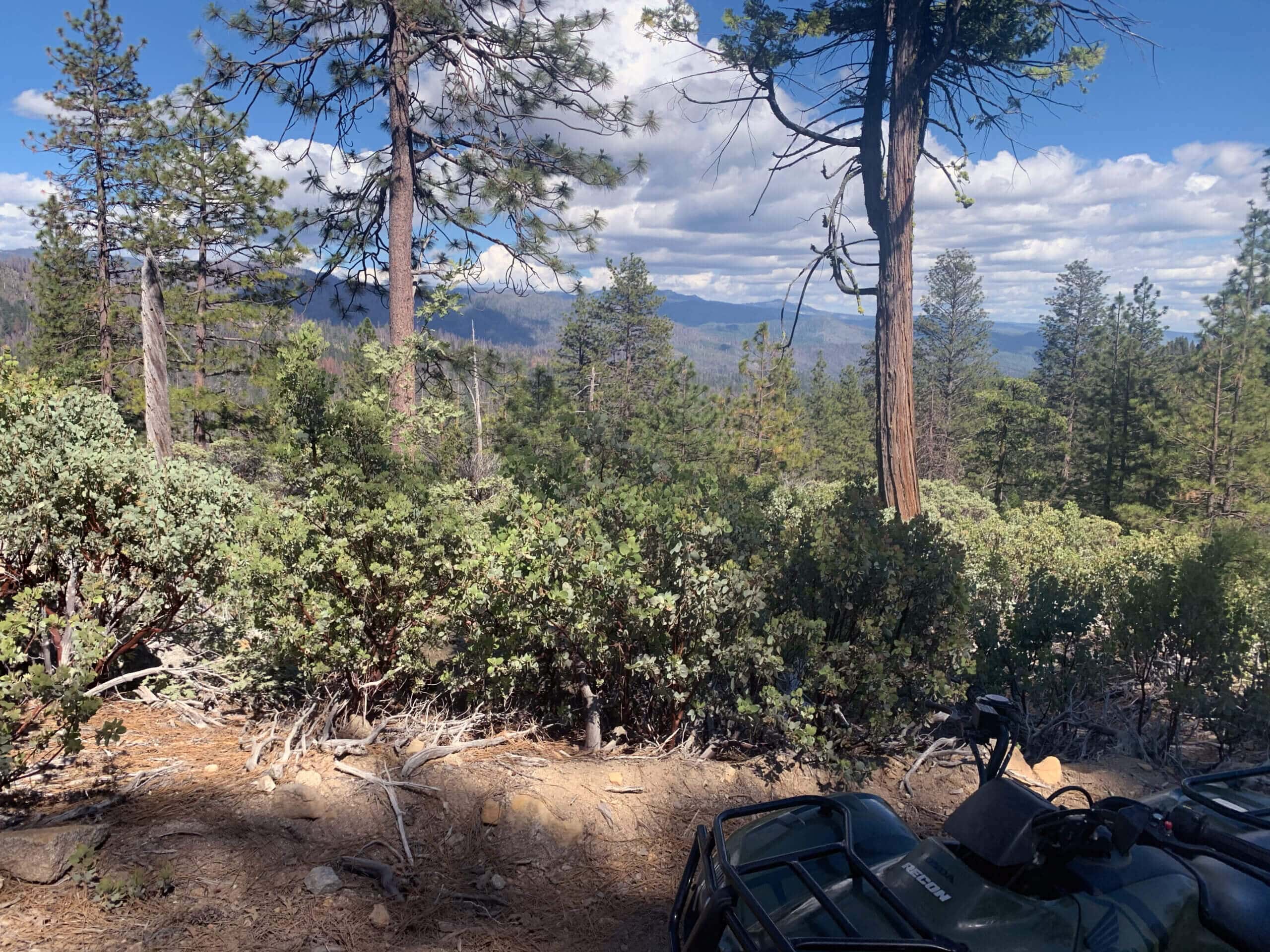 Ponderosa Basin in Sierra National Forest