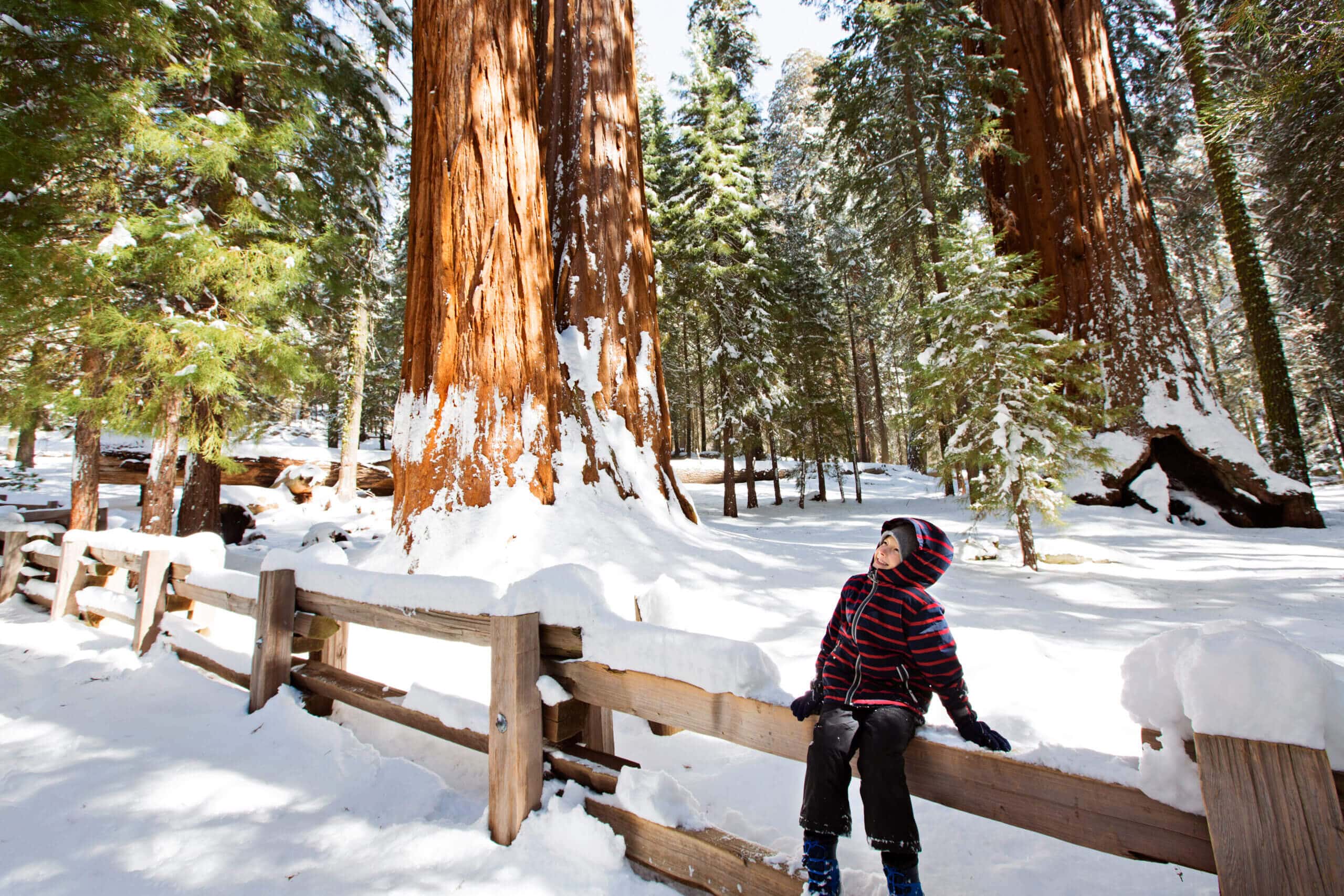 getting to Goat Meadow snow play area near Yosemite