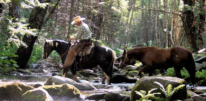 Horse and rider crossing a stream
