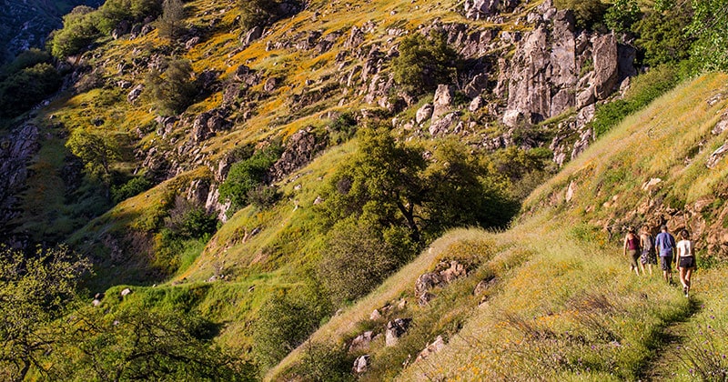 Hite Cove Trail