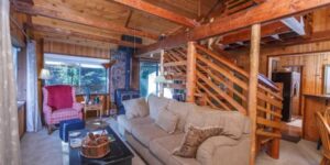 living room with wood stove and couches