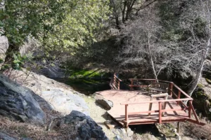 lookout deck