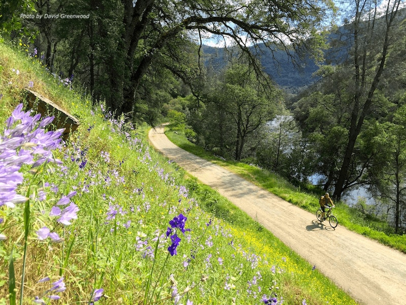 the merced river trail with wildflowers