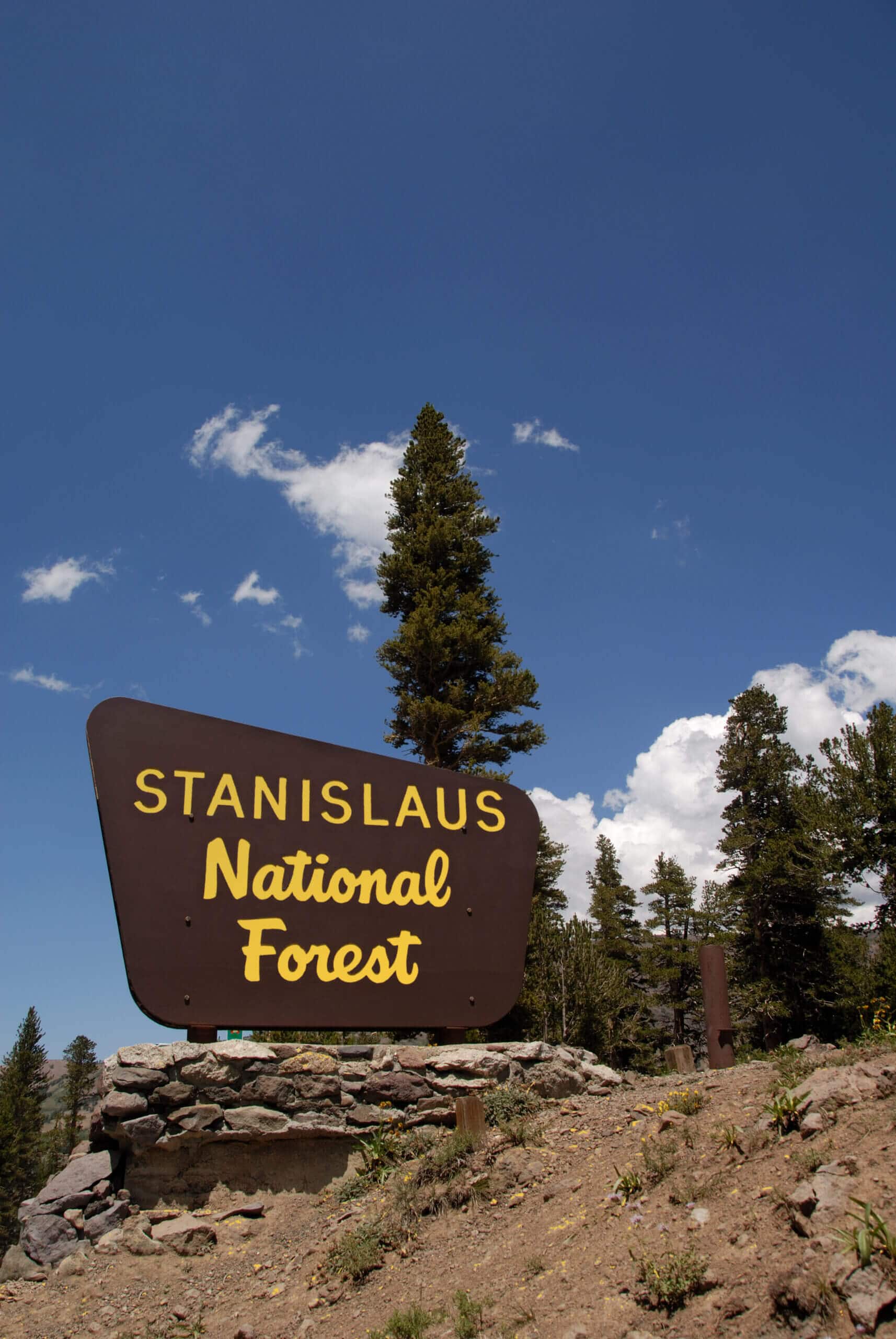 Stanislaus National Forest