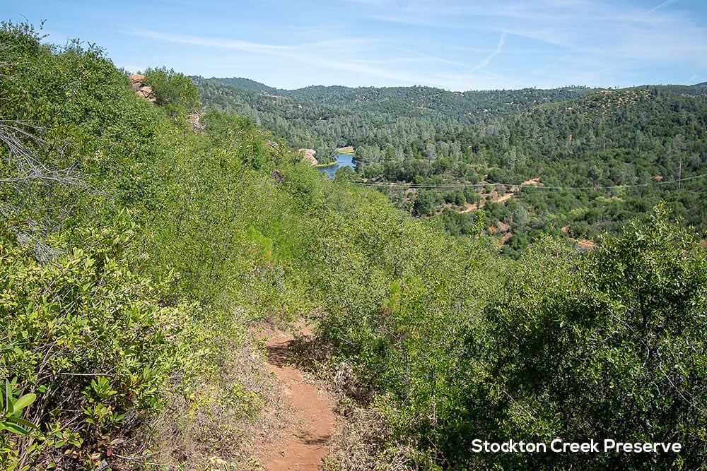 Stockton Creek Preserve Trails are snow free for winter hikes