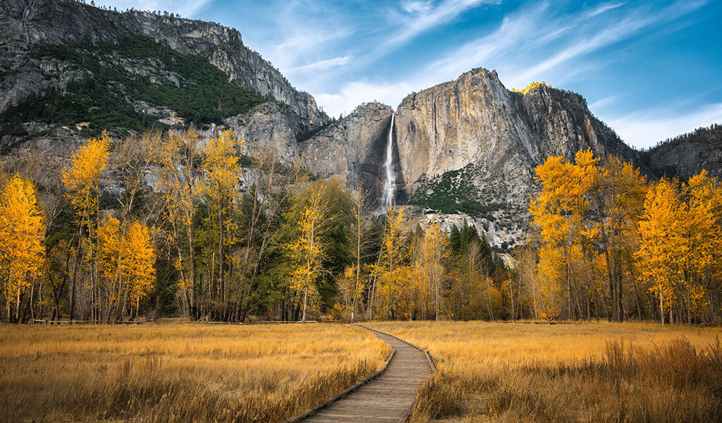 The series of waterfalls at Yosemite Falls dominates Yosemite Valley.