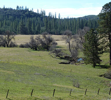 Meadow near Greeley Hill