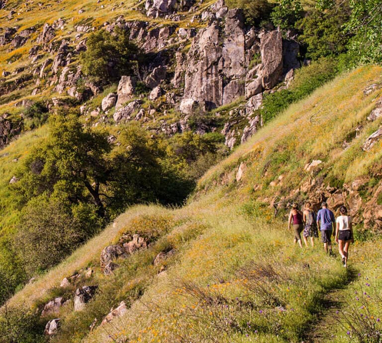 hikers on the Hite Cove trail