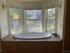 bathtub with bay window