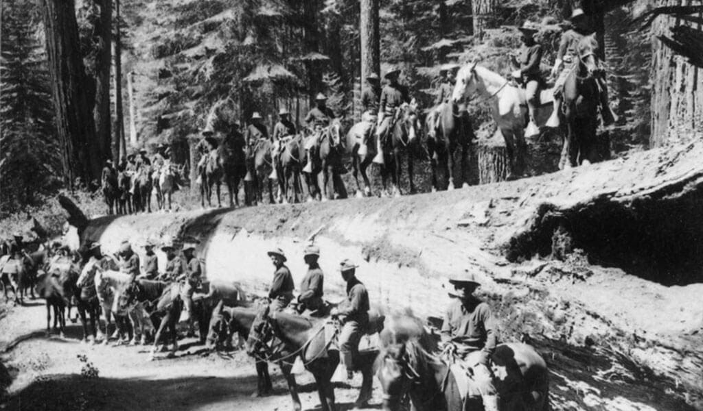 Mounted US Calvalry Troop posing with the Fallen Monarch sequoia in the Mariposa Grove