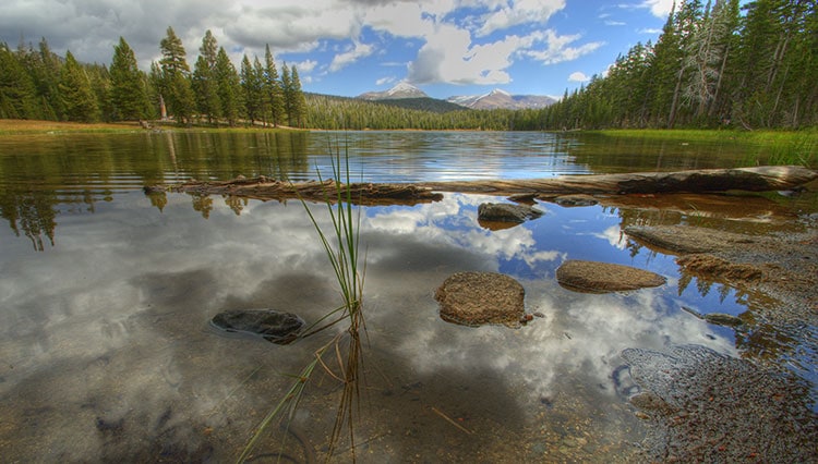 Dog Lake in Tuolumne