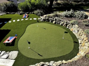 backyard golf