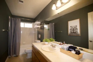 bathroom with shower tub