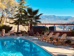 pool with loungers